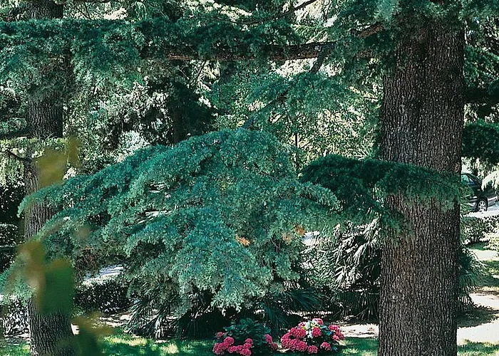 Pambuffetti Hotel 4*